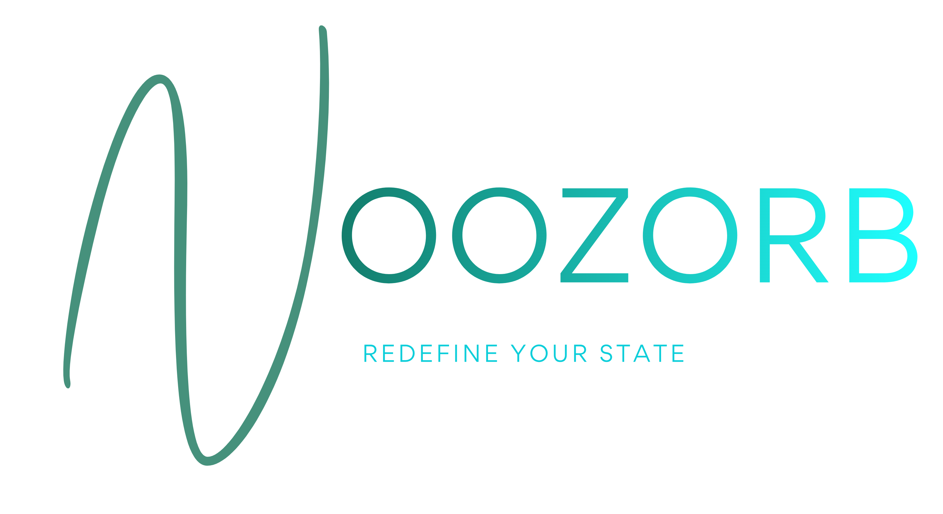 NooZorb